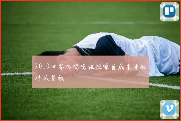 2010世界杯呜呜祖拉噪音成南非独特风景线