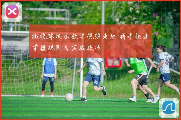 橄榄球玩法教学视频走红 新手快速掌握规则与实战技巧