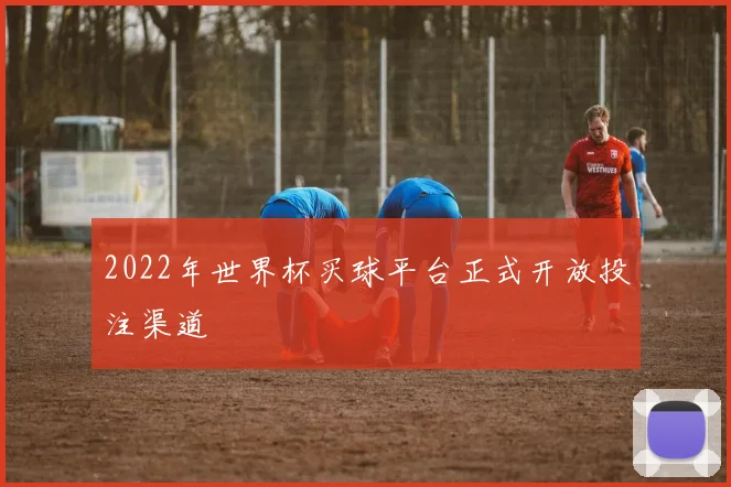 2022年世界杯买球平台正式开放投注渠道