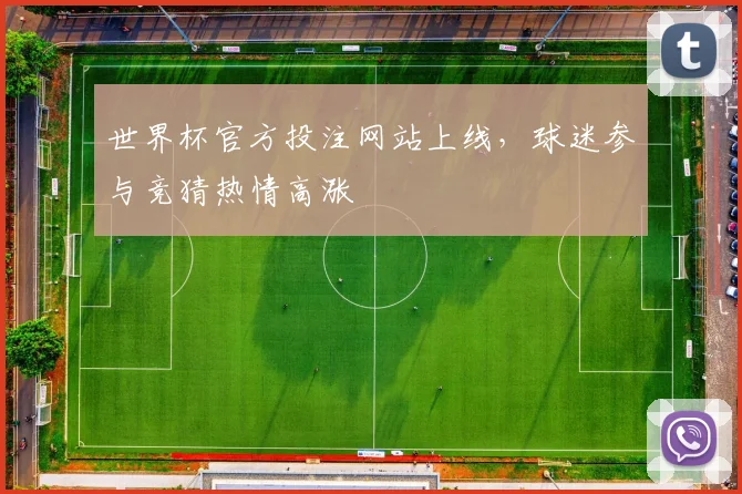 世界杯官方投注网站上线，球迷参与竞猜热情高涨