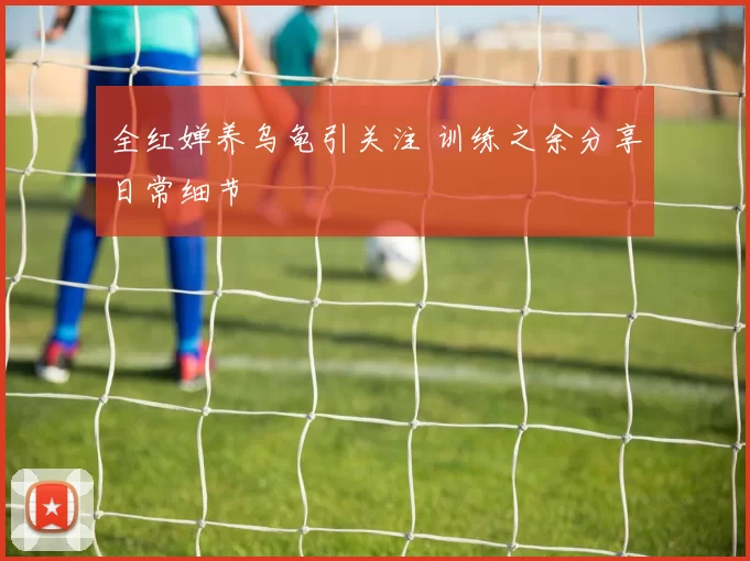 全红婵养乌龟引关注 训练之余分享日常细节