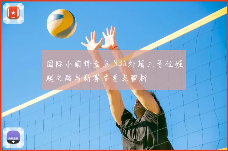 国际小前锋盘点 NBA外籍三号位崛起之路与新赛季看点解析