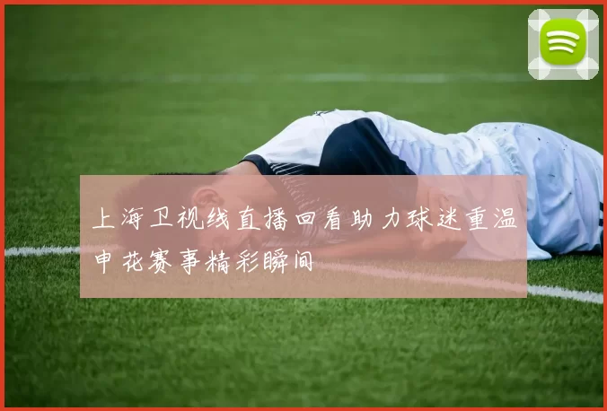 上海卫视线直播回看助力球迷重温申花赛事精彩瞬间