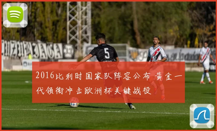 2016比利时国家队阵容公布 黄金一代领衔冲击欧洲杯关键战役