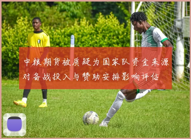 中粮期货被质疑为国家队资金来源对备战投入与赞助安排影响评估