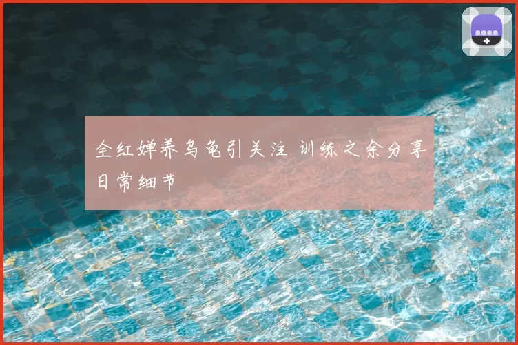 全红婵养乌龟引关注 训练之余分享日常细节