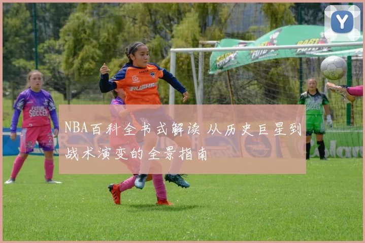 NBA百科全书式解读 从历史巨星到战术演变的全景指南