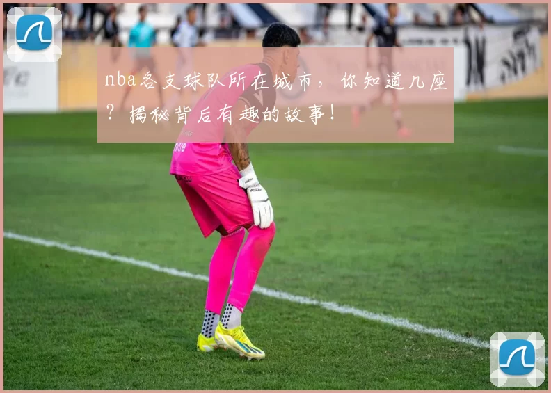 nba各支球队所在城市，你知道几座？揭秘背后有趣的故事！